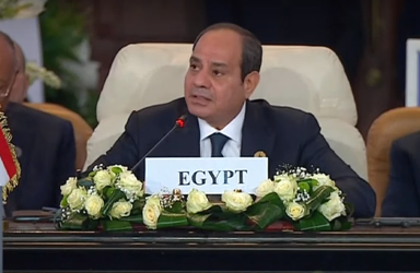 الرئيس السيسي: مصر تعبر عن صدمتها من صمت المجمتع 
